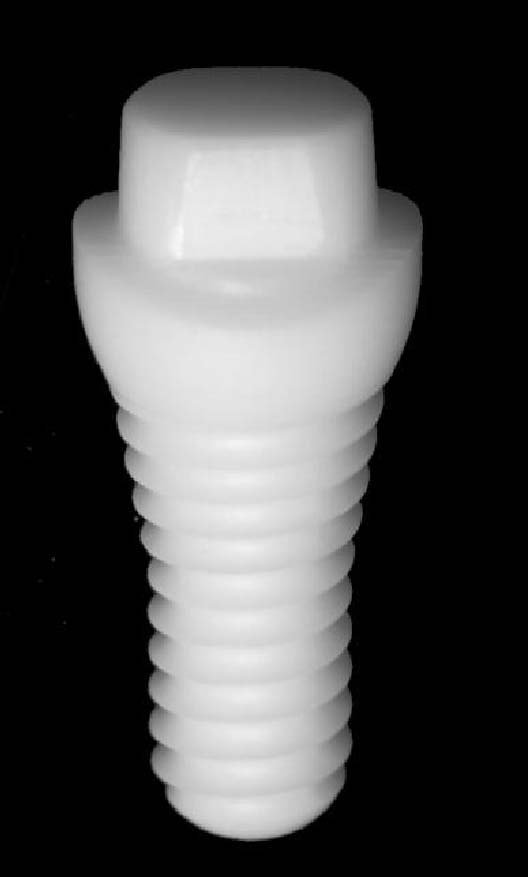 CeraRoot 16 main image