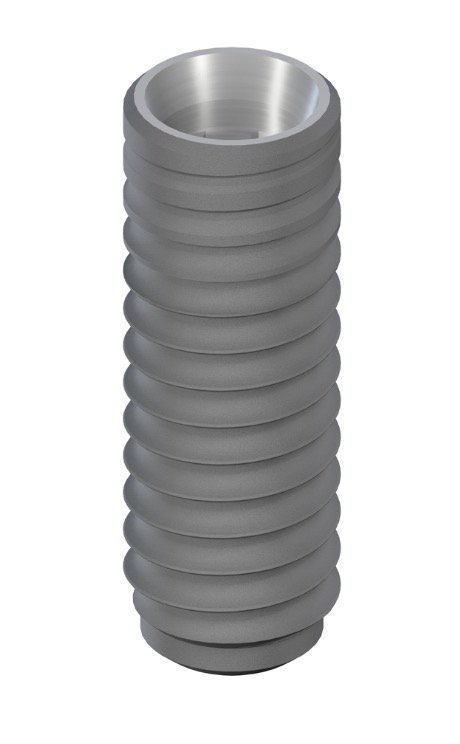 Bone Level main image